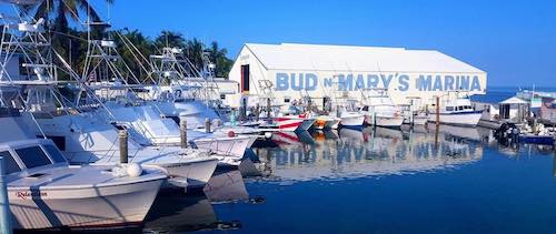 bud n' marys islamorada